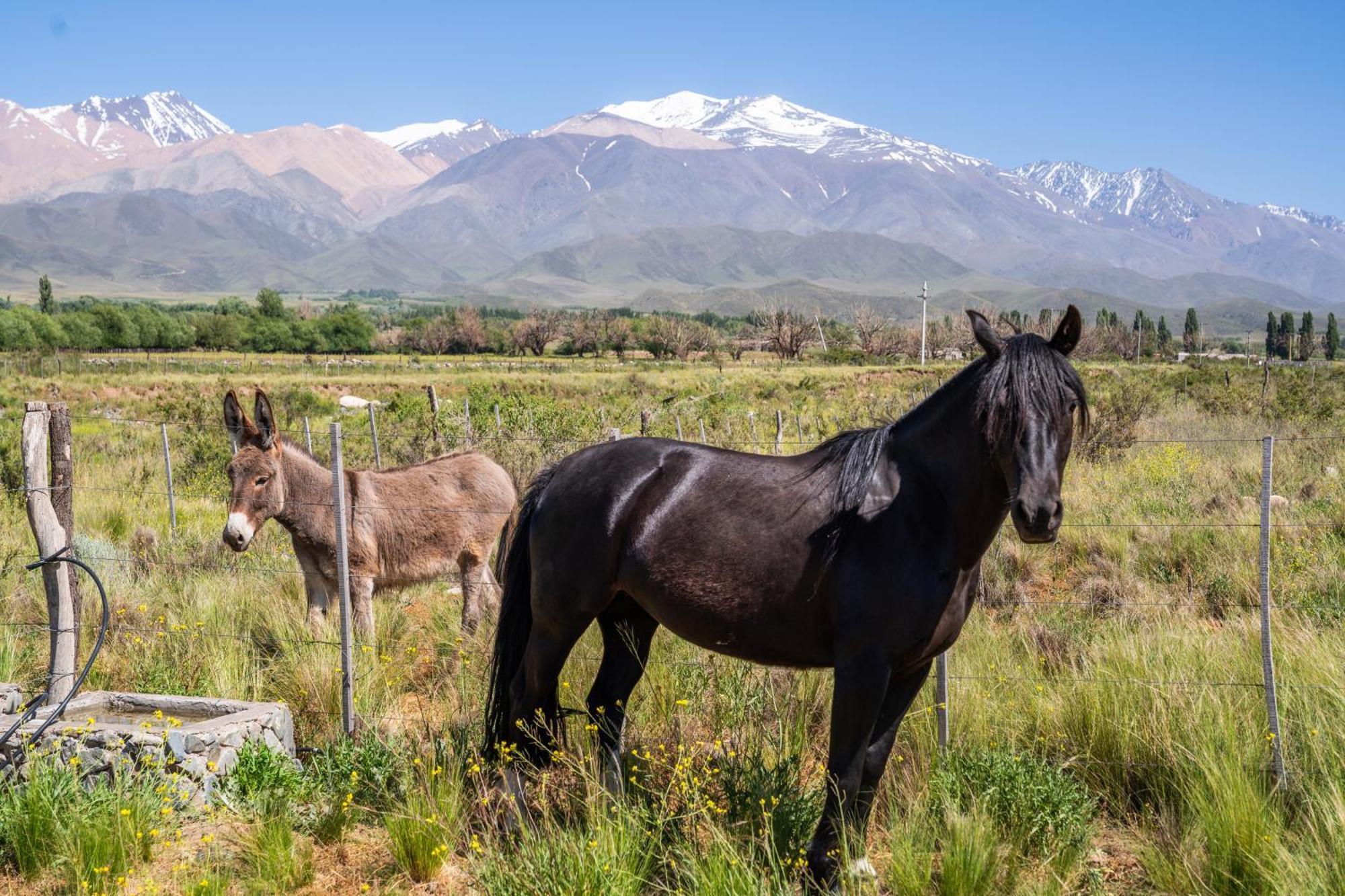 Rancho Adobe Eco Hotel Тупунгато Екстериор снимка